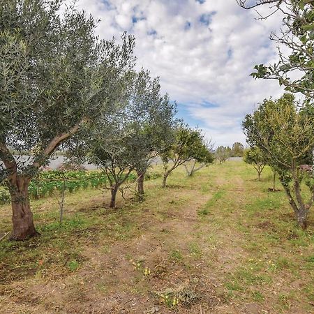 Villa Milia Orosei Εξωτερικό φωτογραφία